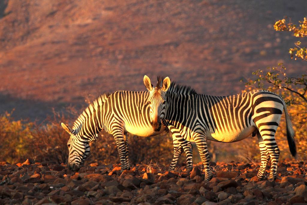 Etendeka Mountain Camp Damaraland Zewnętrze zdjęcie