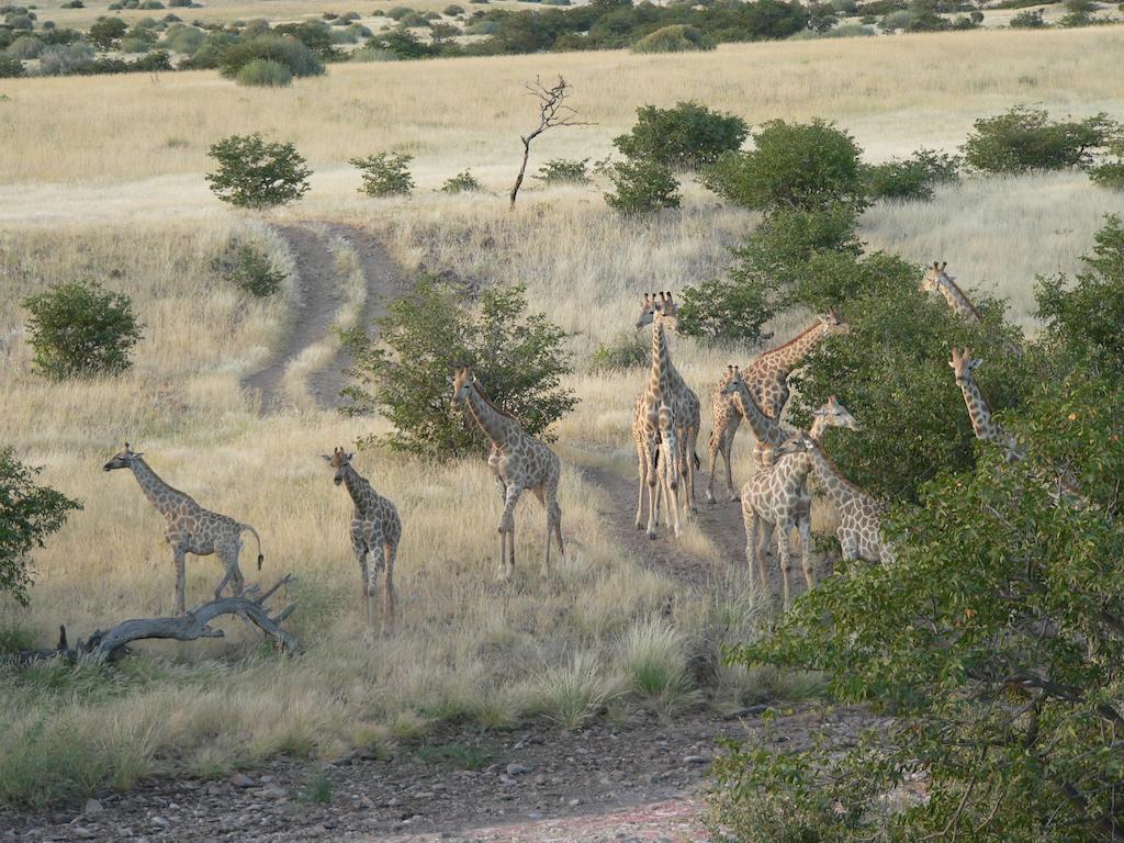 Etendeka Mountain Camp Damaraland Zewnętrze zdjęcie