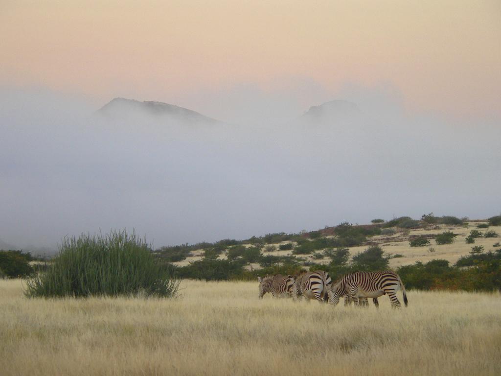 Etendeka Mountain Camp Damaraland Zewnętrze zdjęcie