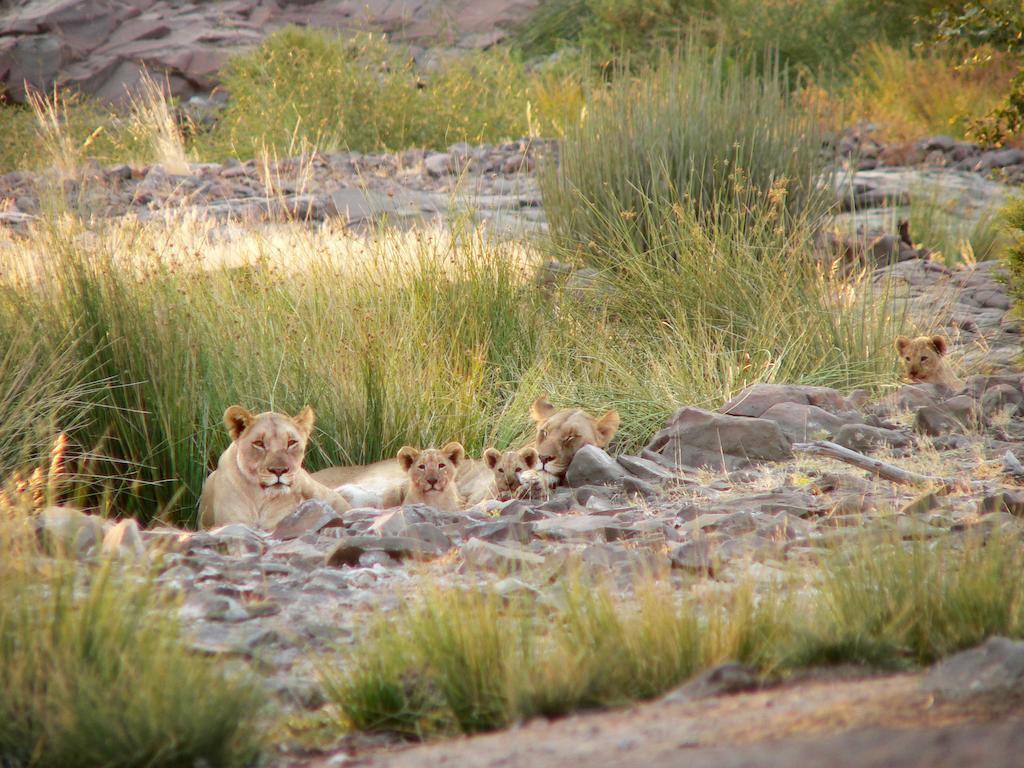 Etendeka Mountain Camp Damaraland Zewnętrze zdjęcie