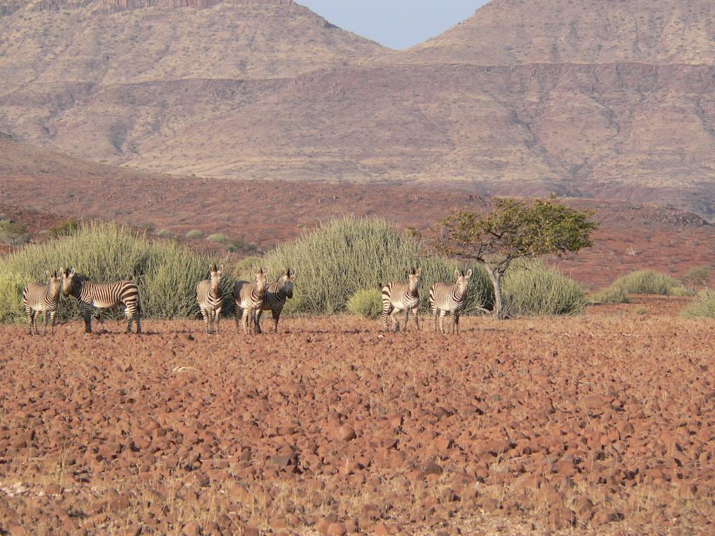 Etendeka Mountain Camp Damaraland Zewnętrze zdjęcie