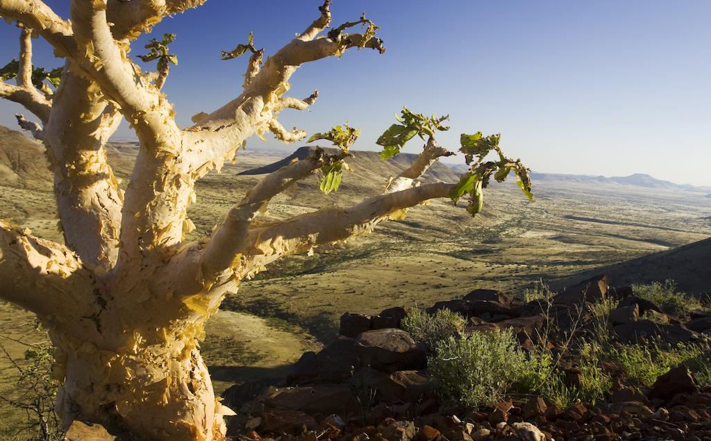 Etendeka Mountain Camp Damaraland Zewnętrze zdjęcie