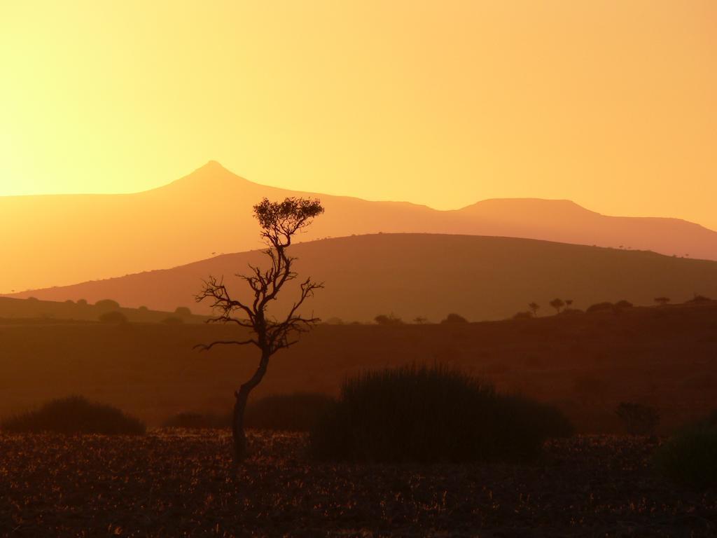 Etendeka Mountain Camp Damaraland Zewnętrze zdjęcie
