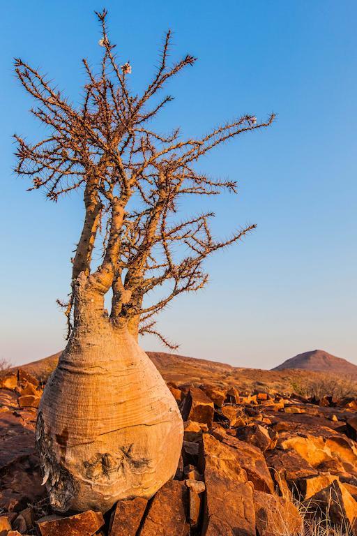 Etendeka Mountain Camp Damaraland Zewnętrze zdjęcie