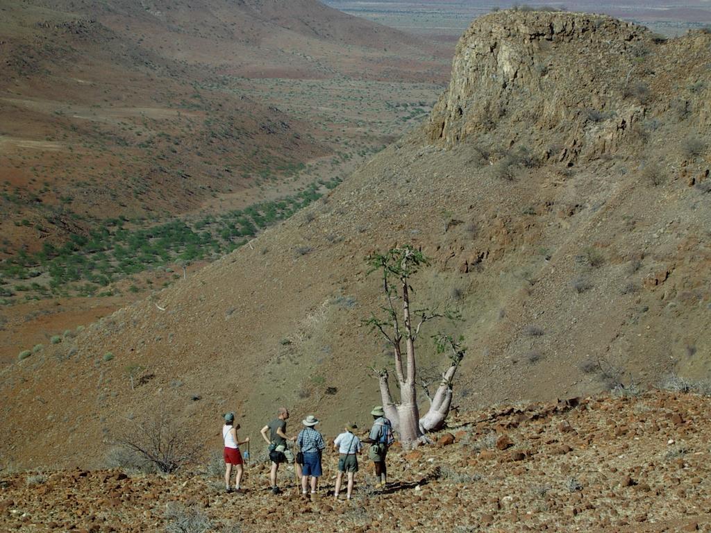 Etendeka Mountain Camp Damaraland Zewnętrze zdjęcie