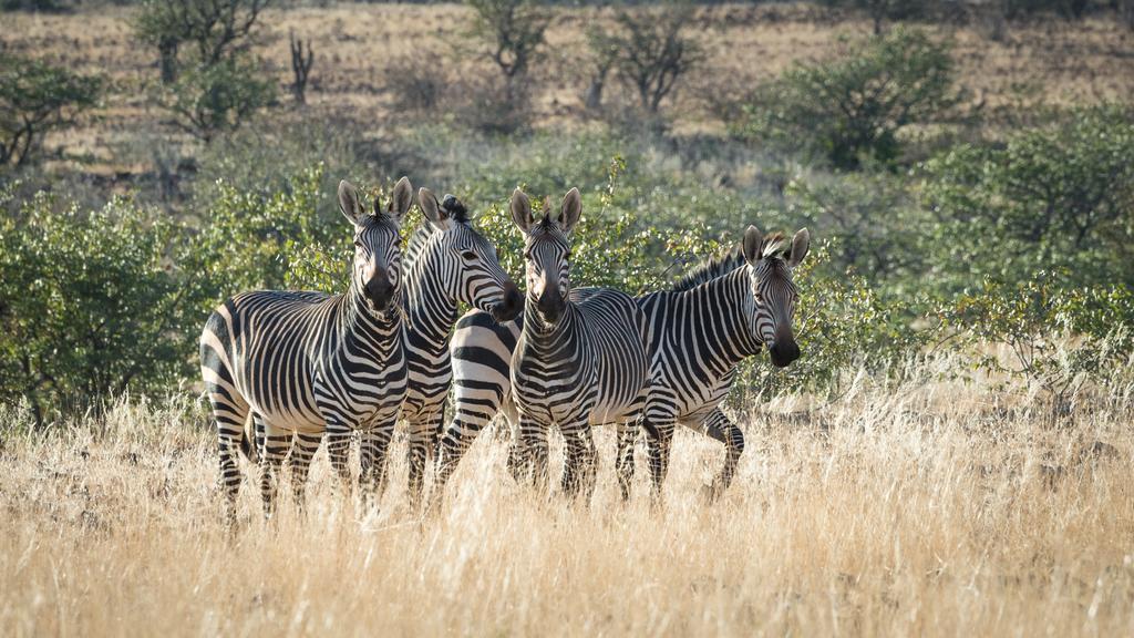 Etendeka Mountain Camp Damaraland Zewnętrze zdjęcie